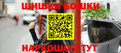 индика Анапа