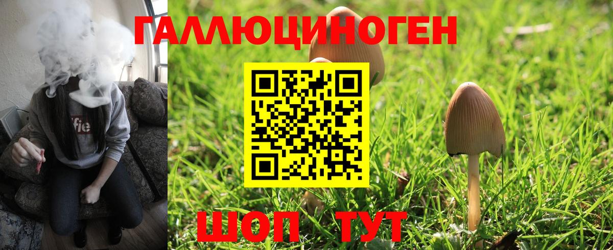 Конаково  Галлюциногенные грибы Magic Shrooms  Вход с VPN 